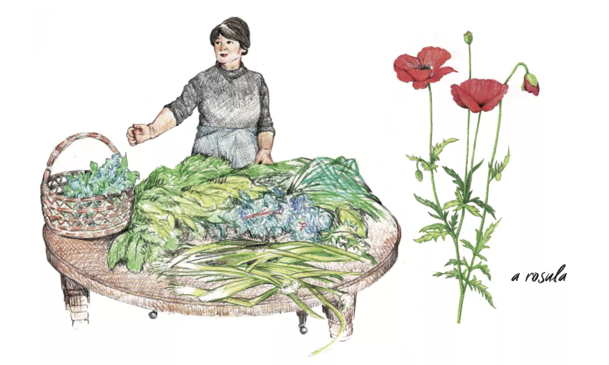 Ùn ti scurdà di a filetta !